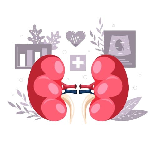 atencion-para-insuficiencia-renal-en-cdmx.jpg